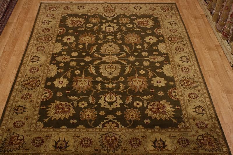 New Rare Color Hand Knotted Agra Allover Oriental Handmade Rugs 