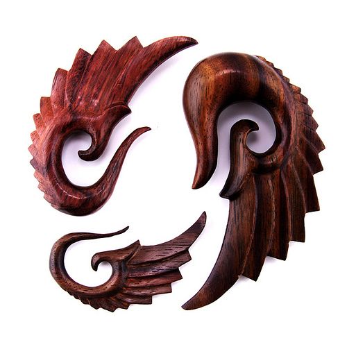 WING DESIGN Hand Made Wood EAR PLUGS Gauges (PICK SIZE)  