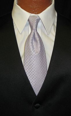 New Boyss Calvin Klein Ambassador Long Ties 7 Colors  