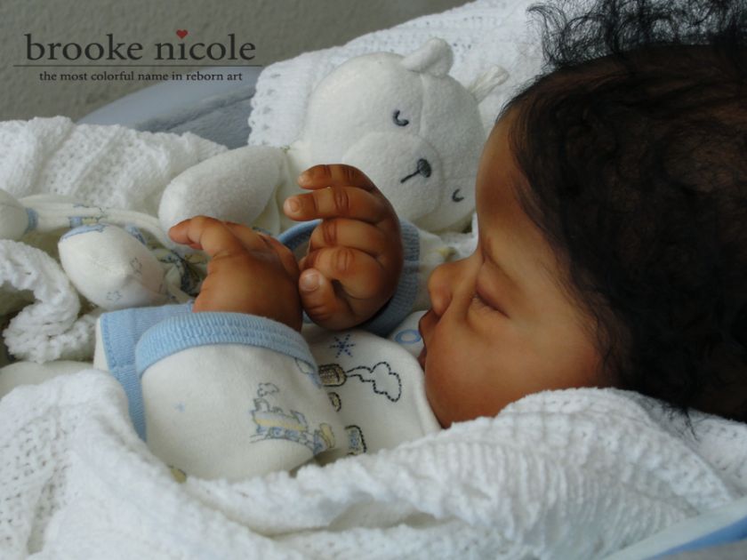 brooke nicole reborn