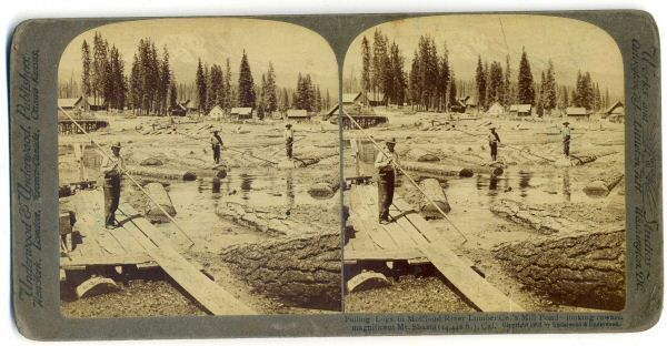 Polling Logs, Mill Pond, McCloud River Lumber Co, CA  