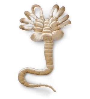 Alien Lifesize Facehugger Plush *New*  