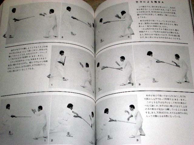 Taikikenpo Taikikempo Martial Arts Book Tai Chi Sawai m  