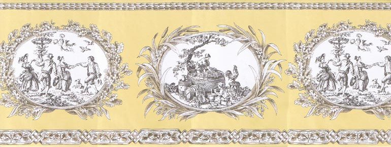 FRENCH COUNTRY LIFE TOILE wallpaper border CH77650  