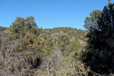 GOLDWATER PLACER GOLD MINING PROJECT FOR SALE  