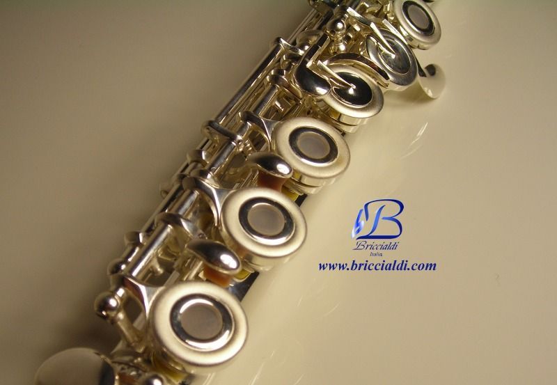   bu briccialdi flutes give a elegant touch to the flute case bag