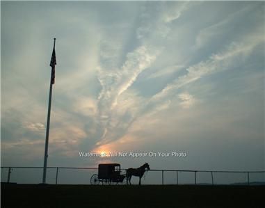 Amish Horse and Buggy Sunset Photo Special 11 x 14  