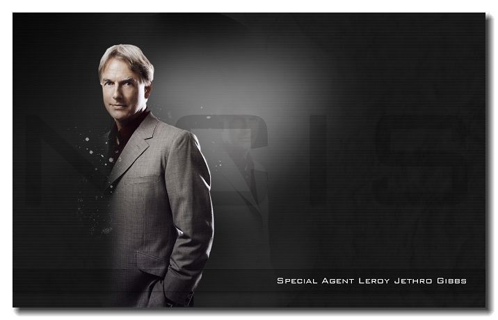 NCIS Mark Harmon Leroy Jethro Gibbs New Silk Poster 24  