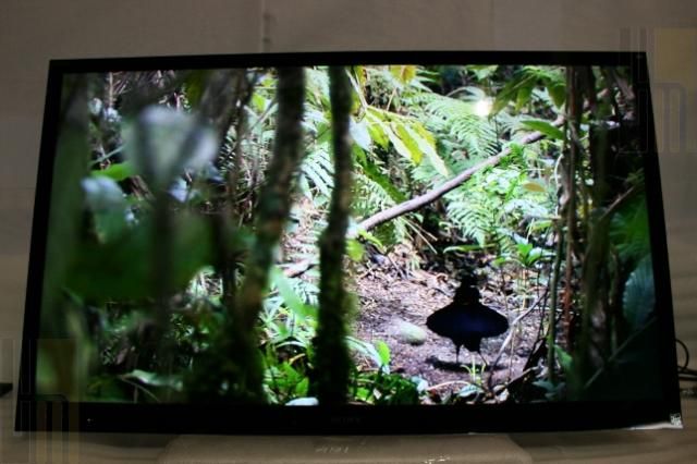 Sony Bravia XBR 55HX929 55 Full 3D 1080p HDTV LED LCD SMART TV(aop 